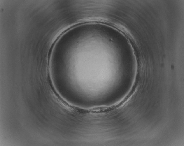 X0000070221228200605301422