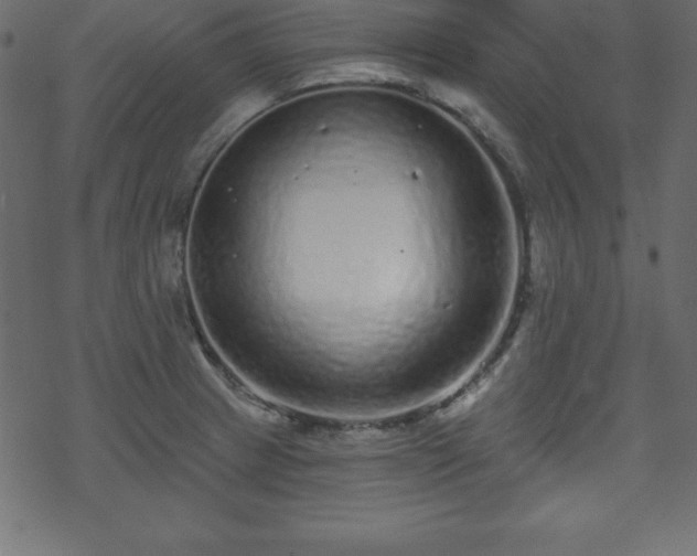 X0000070221233200605301422