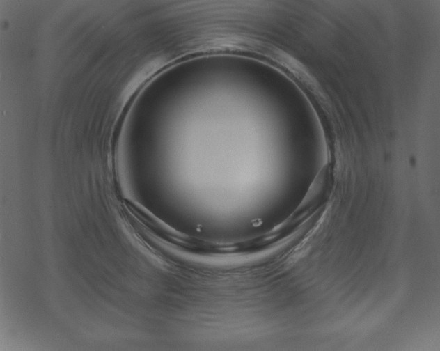 X0000070221234200605301422