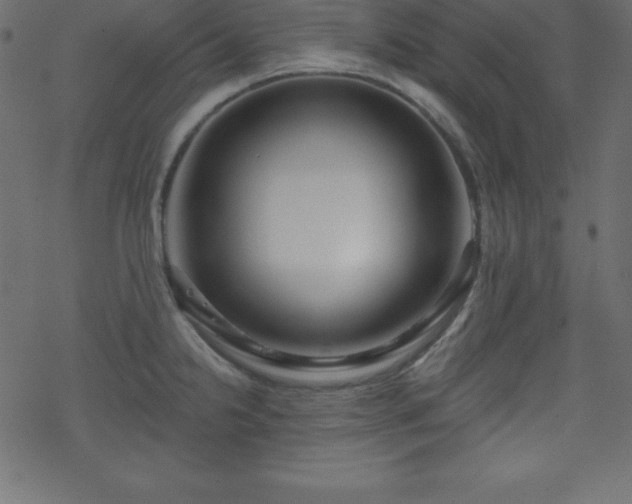 X0000070221238200605301423