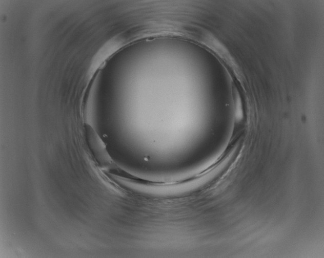 X0000070221242200605301423