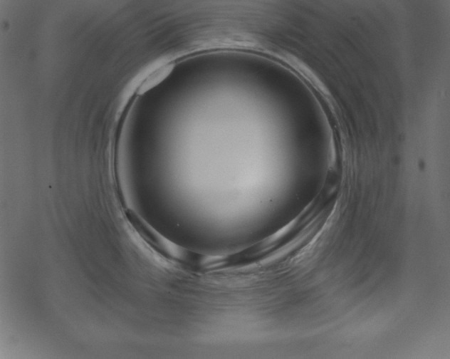 X0000070221246200605301423
