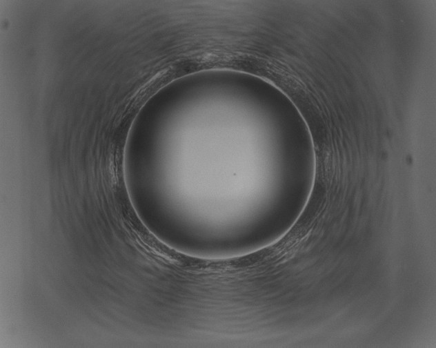 X0000070221250200605301422