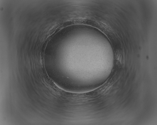 X0000070221252200605301422