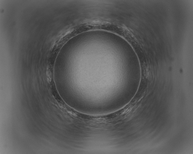 X0000070221253200605301422