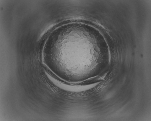 X0000070221255200605301422