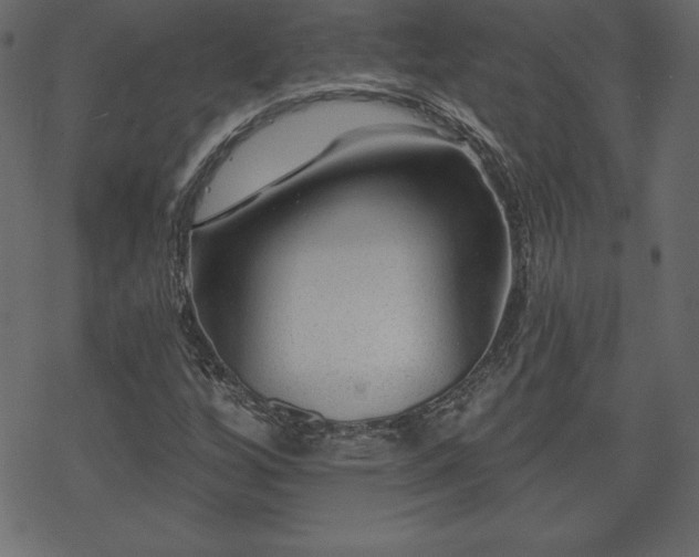 X0000070221256200605301422