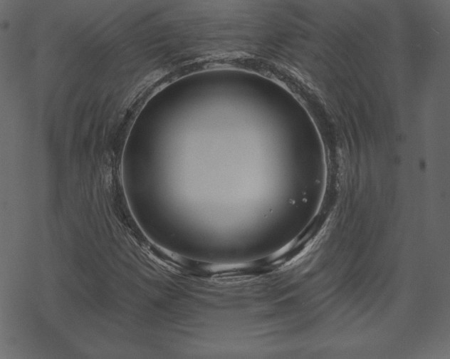 X0000070221257200605301422