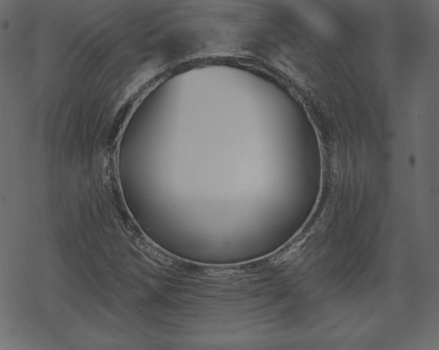 X0000070221258200605301422