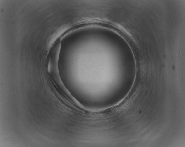 X0000070221269200605301422