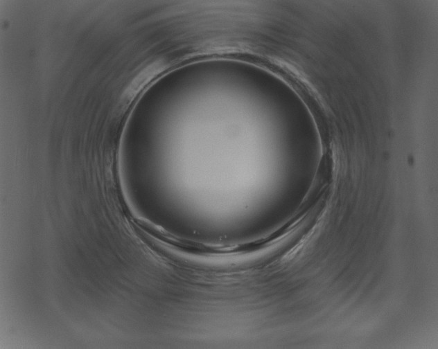 X0000070221273200605301422