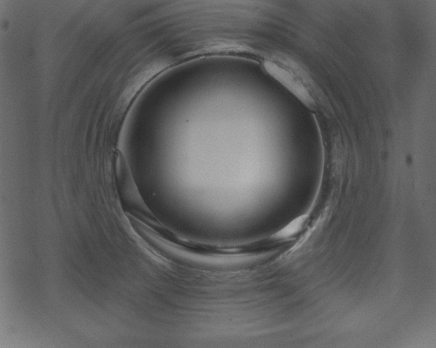 X0000070221281200605301421