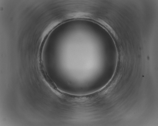 X0000070221285200605301421