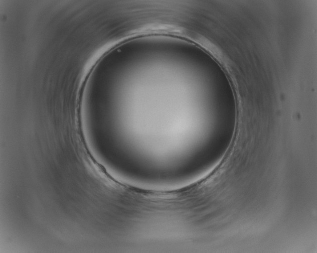 X0000070221296200605301421
