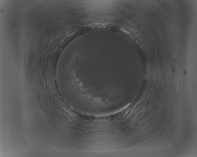 X0000070221297200605301420