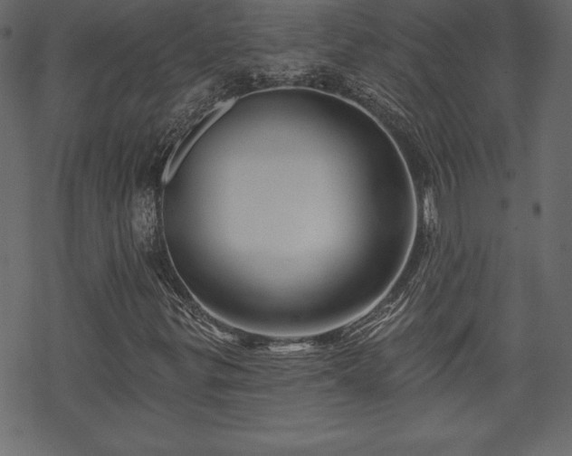 X0000070221299200605301420