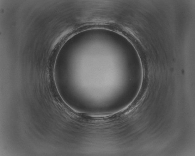 X0000070221307200605301421