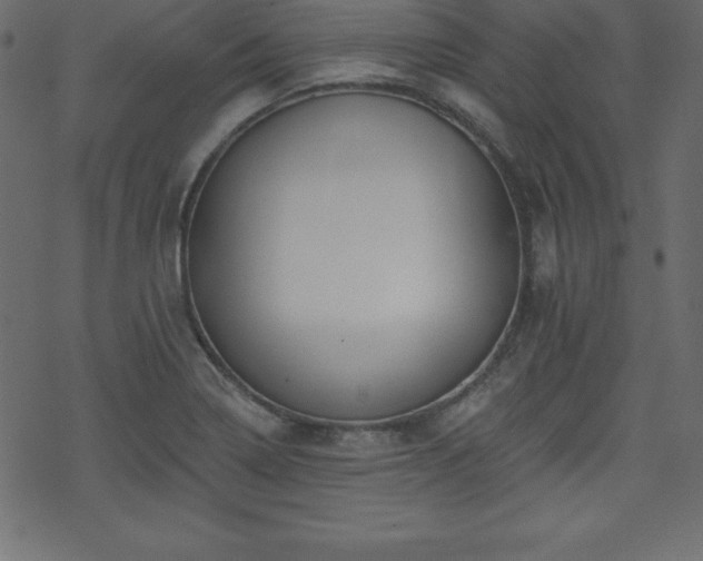 X0000070221322200605301421