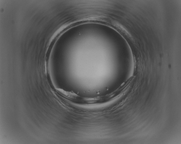 X0000070221324200605301421