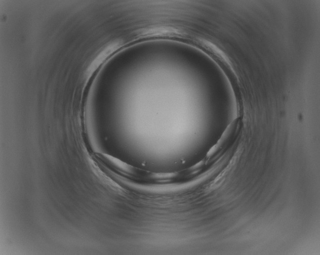 X0000070221330200605301421