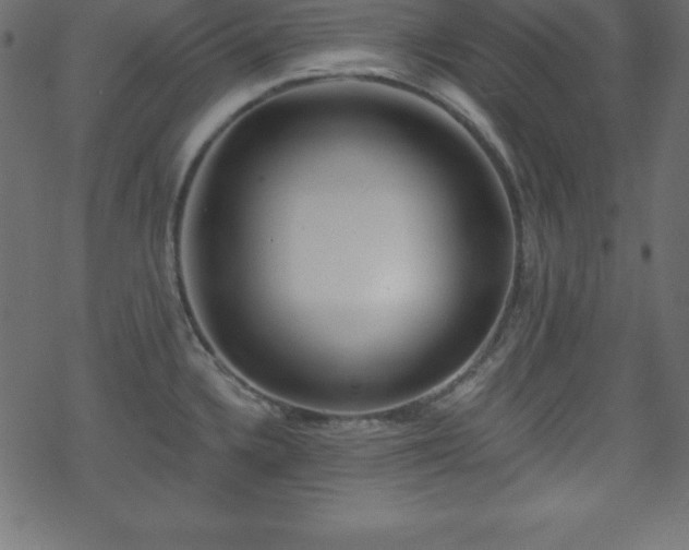 X0000070221336200605301421