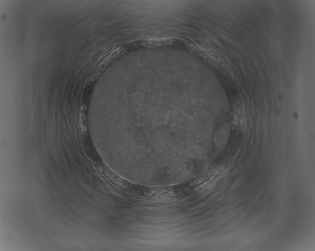 X0000070221346200605301420