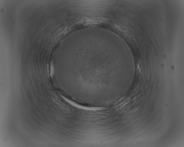 X0000070221348200605301420