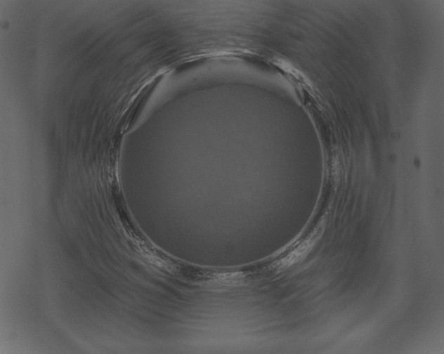 X0000070221353200605301420