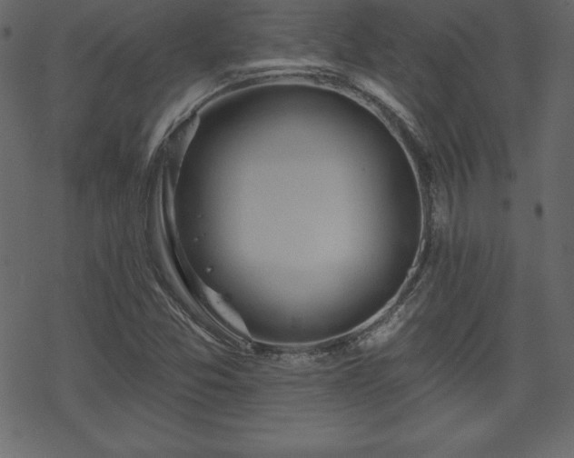 X0000070221357200605301420