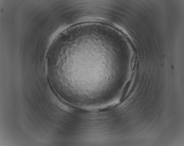 X0000070221371200605301420