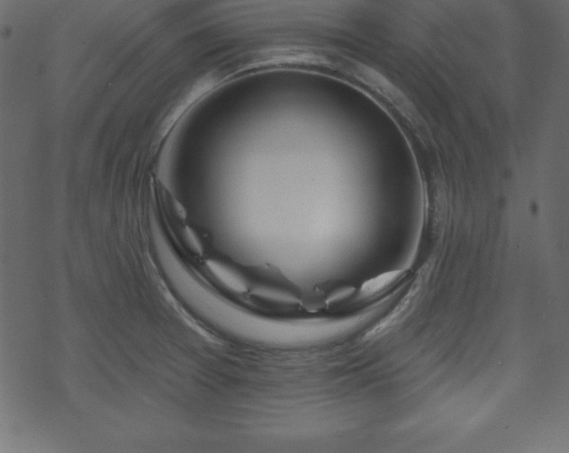 X0000070221377200605301420
