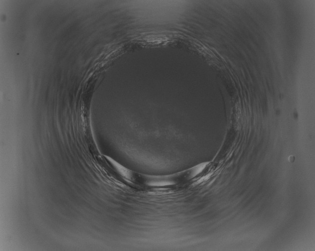X0000070221394200605301419