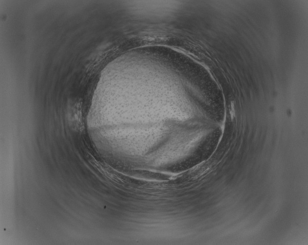 X0000070221396200605301419