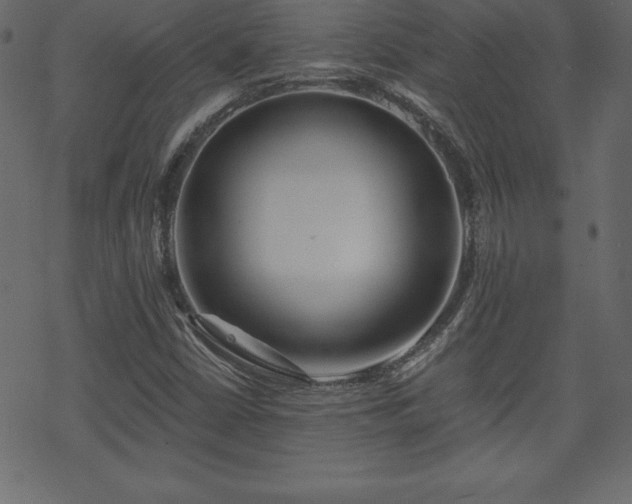 X0000070221402200605301419