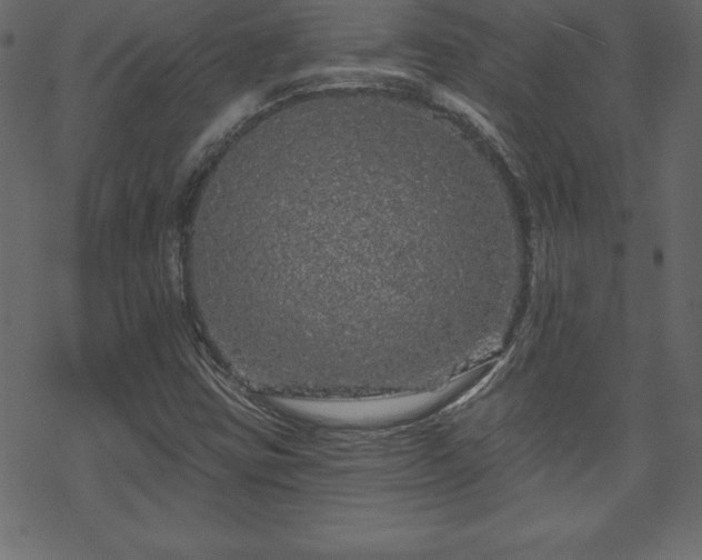 X0000070221403200605301419