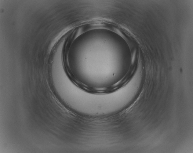 X0000070221410200605301419