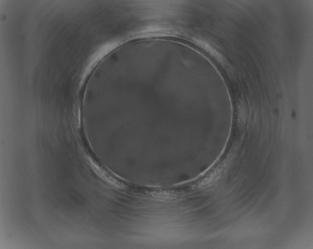 X0000070221413200605301419