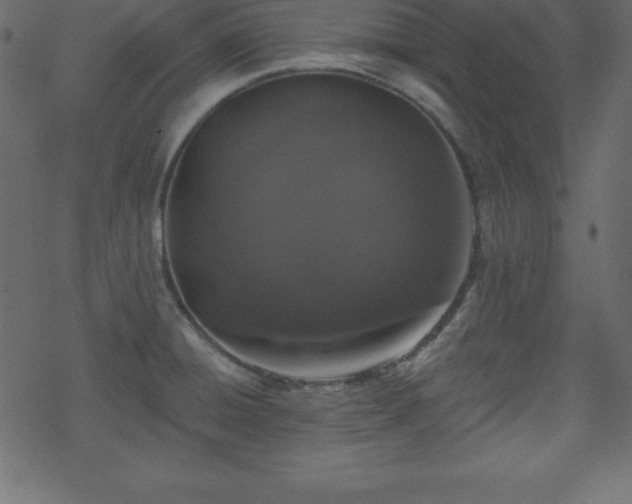 X0000070221428200605301419