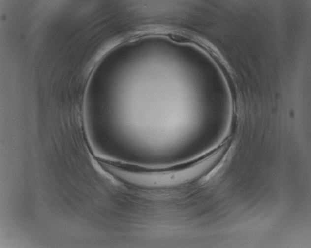X0000070221433200605301420