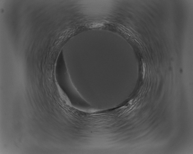 X0000070221441200605301419