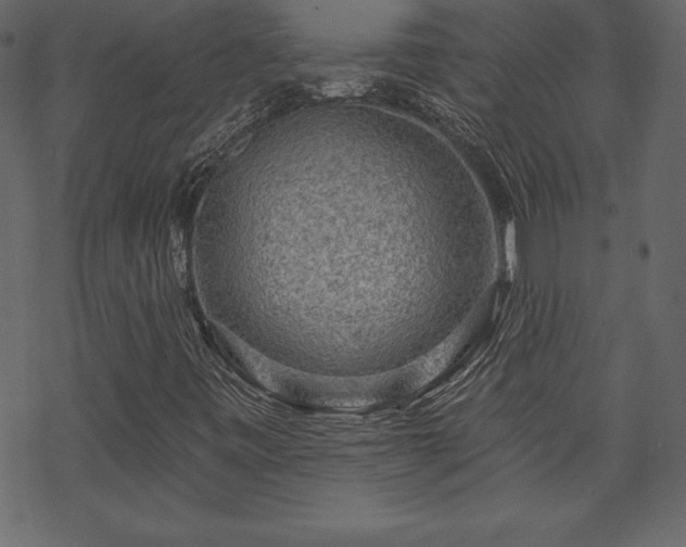 X0000070221443200605301419