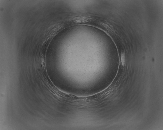 X0000070221444200605301419