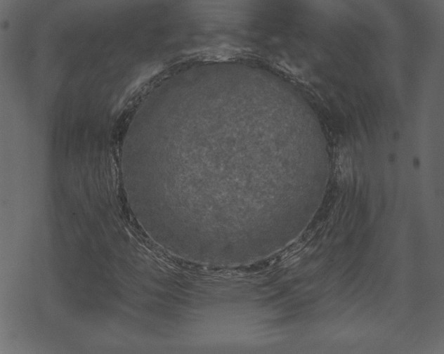 X0000070221446200605301419