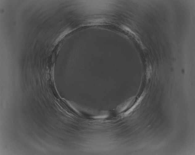 X0000070221449200605301419