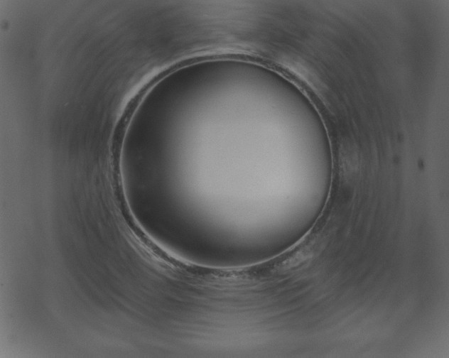 X0000070221460200605301419