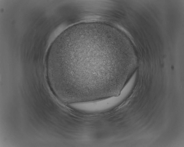 X0000070221467200605301418
