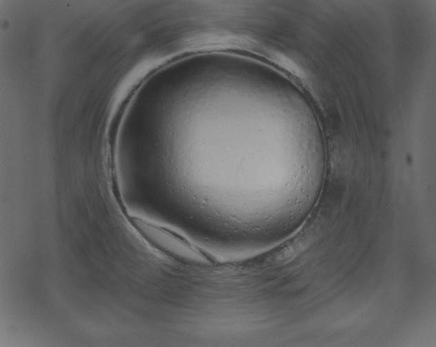 X0000070221472200605301418