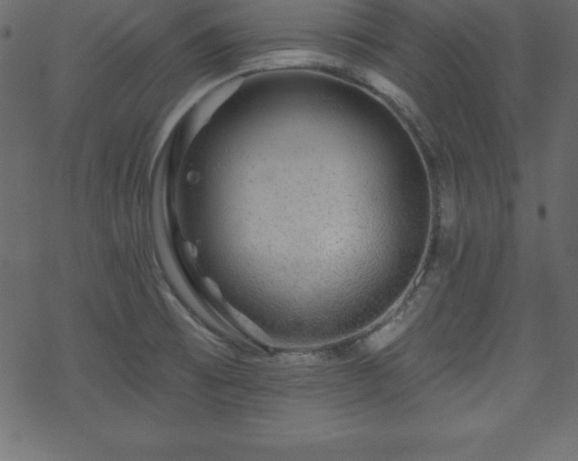 X0000070221473200605301418