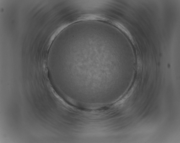 X0000070221481200605301418