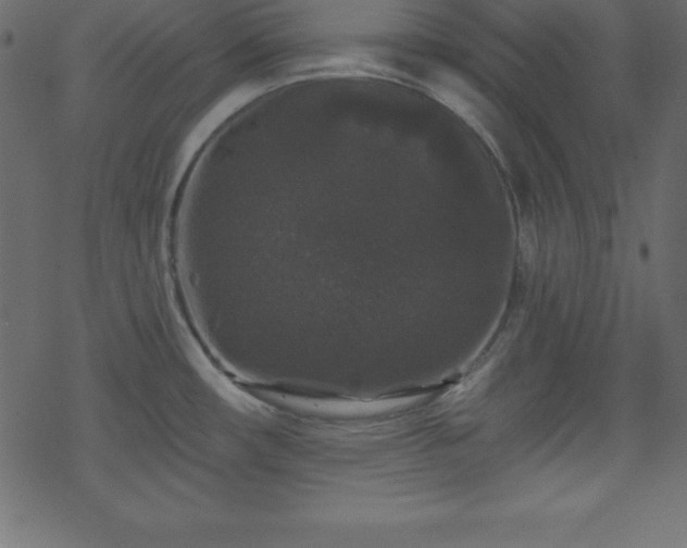 X0000070221482200605301418